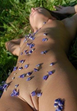 Completely naked teen Nikki D covers herself with petals from wildflowers on fangals.org