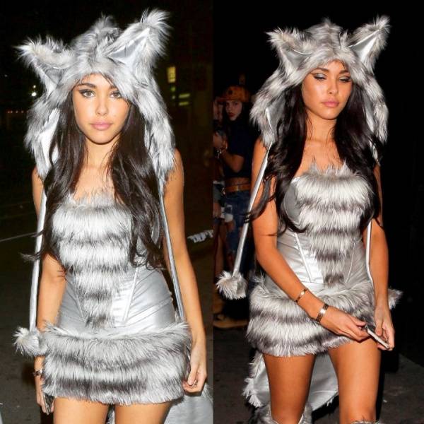 Madison Beer Halloween Candids Big Bad Wolf Cosplay Set Leaked - Usa - Madison on fangals.org