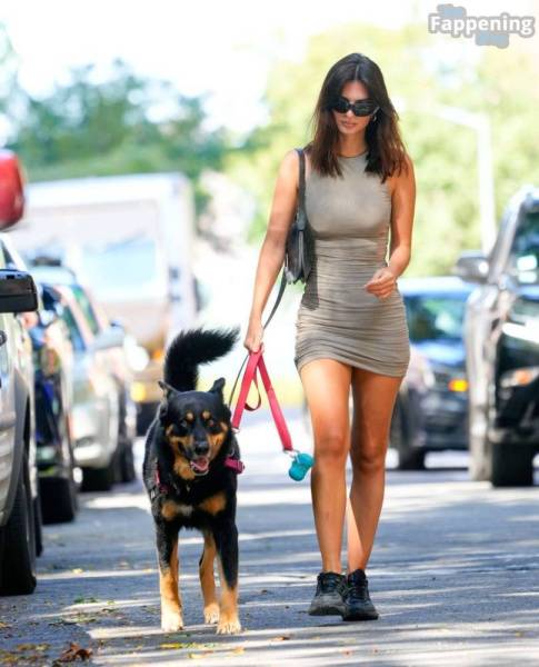 Emily Ratajkowski Looks Hot in a Mini Dress While Walking Her Dog in NYC (32 Photos) on fangals.org